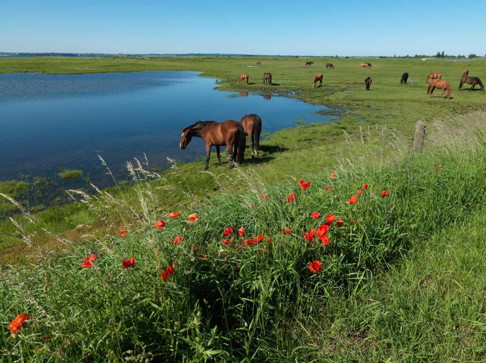 Seerose Insel Poel Exterior photo